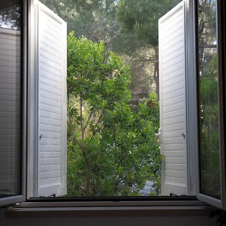 ベッド・アンド・ブレックファスト Otto Apulia House