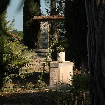 Otto Apulia House ベッド・アンド・ブレックファスト アンドリア